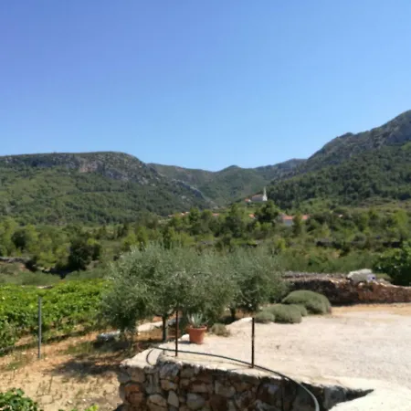 Vineyard Paradise House Villa Pitve