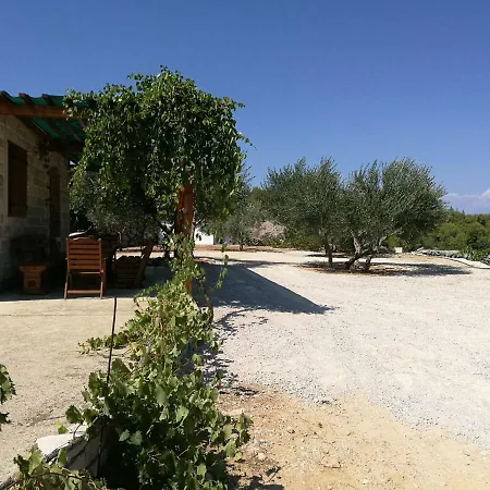 Vineyard Paradise House Villa