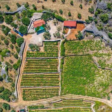 Vineyard Paradise House Villa