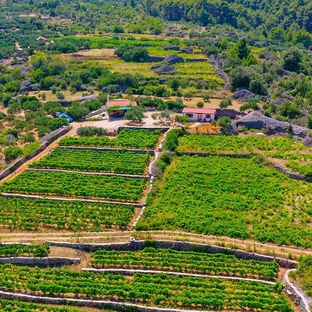 Vineyard Paradise House * Pitve