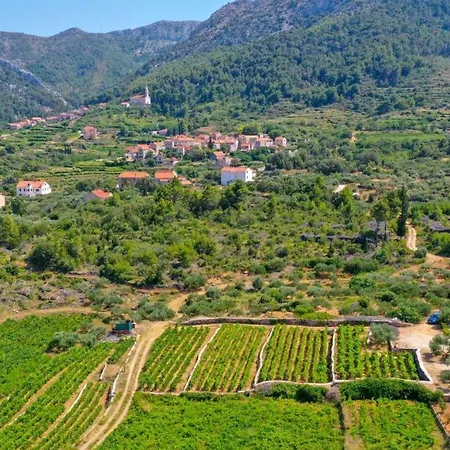 Vineyard Paradise House Villa *