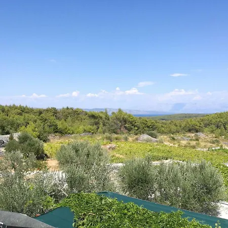 Vineyard Paradise House * Pitve