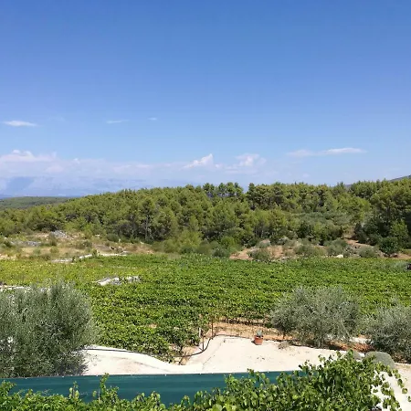 Vineyard Paradise House Villa Pitve