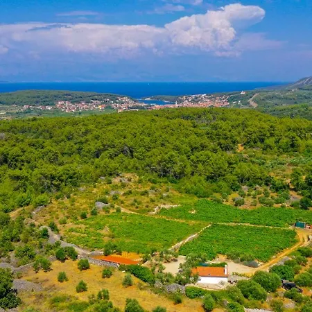 Vineyard Paradise House Villa *