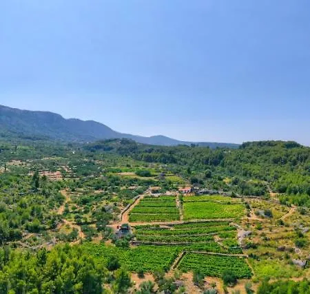 Vineyard Paradise House Villa *